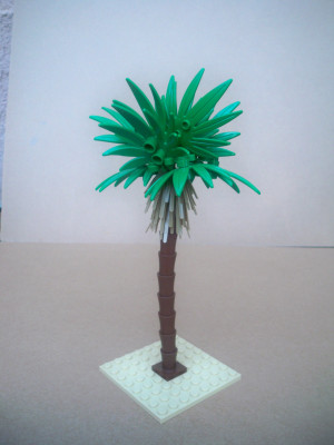 Masa palm tree